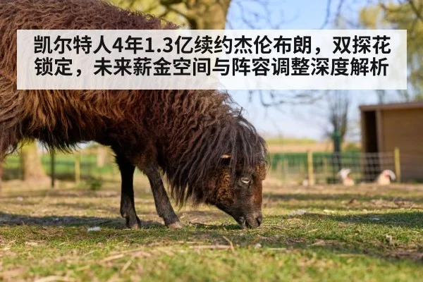 凯尔特人4年1.3亿续约杰伦布朗,双探花锁定,未来薪金空间与阵容调整深度解析