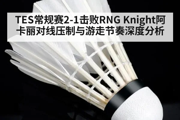 TES常规赛2-1击败RNG Knight阿卡丽对线压制与游走节奏深度分析